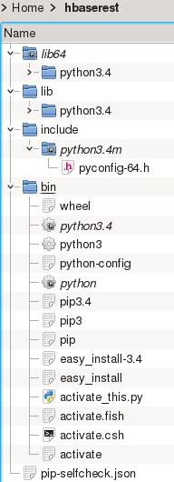 virtualenv python3